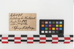 Etiketten zu Keramikgefäß (NHMW-PRAE-026098)